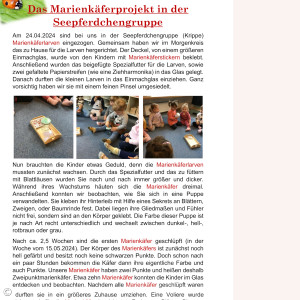 Marienkäfer Projekt Seepferdchen